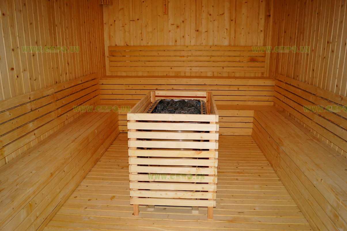 CEPO supply and install Steam and Dry Sauna